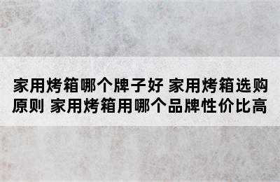 家用烤箱哪个牌子好 家用烤箱选购原则 家用烤箱用哪个品牌性价比高